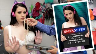 ShopLyfter Case No. 7906240: The Streamer Problem – Em Indica